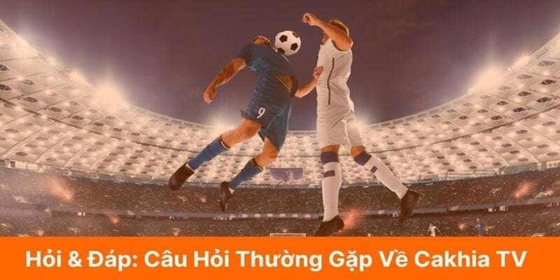 Giải đáp mọi thắc mắc về các câu hỏi thường gặp tại Cakhia 